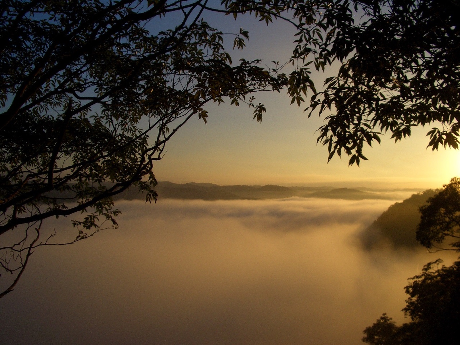Morning view above a sea of clouds